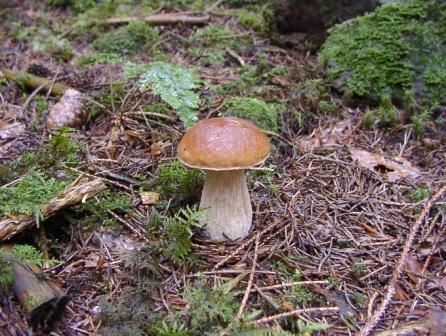 Gaestehaus Eichwald Neuenburg  Eksteriør billede